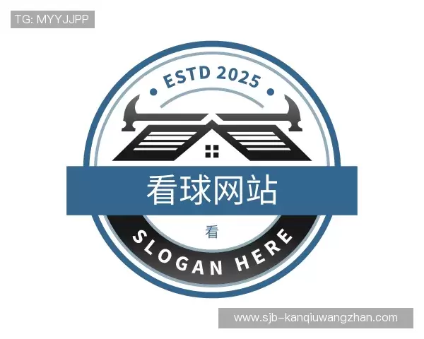 关于看球网站